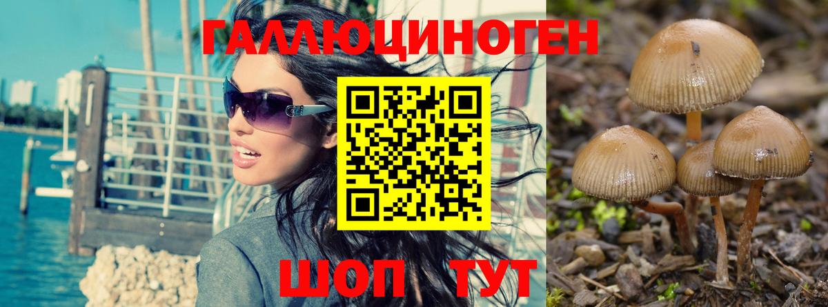 Псилоцибиновые грибы MAGIC MUSHROOMS  Вход с VPN  Сибай 